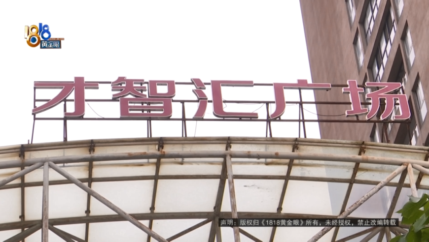 最准一肖一码100%中奖,库里与埃利斯组合实力有多强,广泛的解释落实方法分析_工具版V12.32